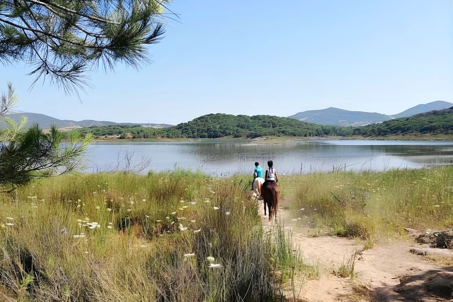 Alghero: horseback riding in Lake Baratz - Photo 2