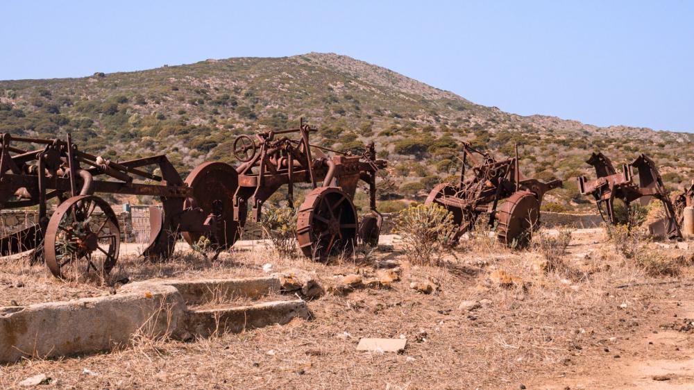 ASINARA ISLAND TOUR - Full Day (Off Road Tour in the National Park) - Photo 26