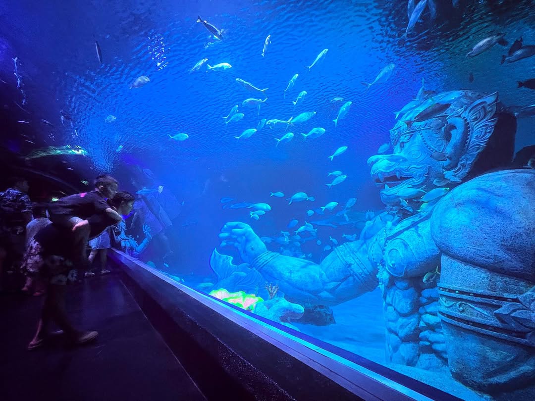 Aquaria Phuket Aquarium Visit – Image 1 | WeShare