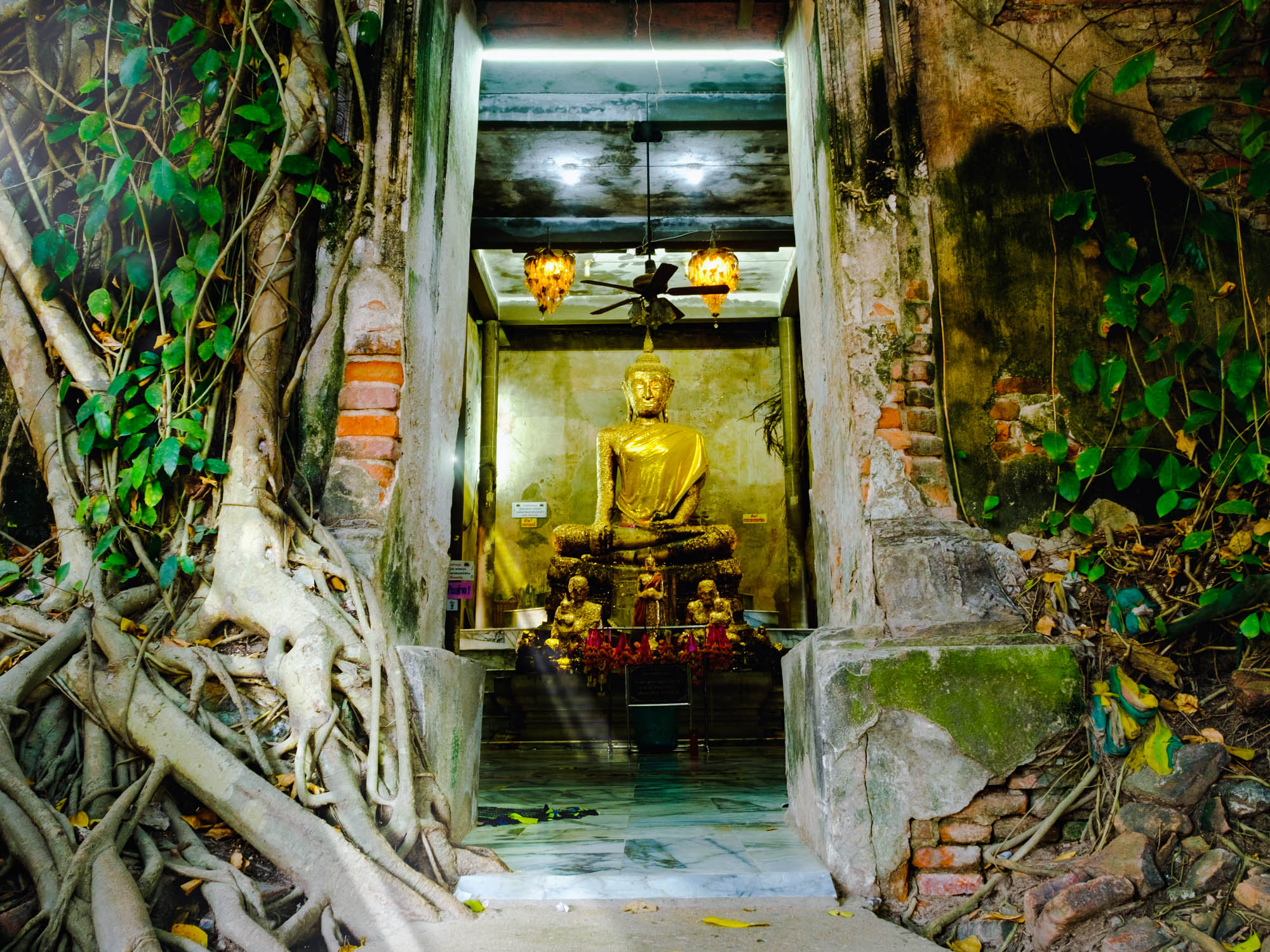 Amphawa Floating Market and Maeklong Railway Market Tour with Semiprivate or Private Option and Pickup - Accommodations in Bangkok