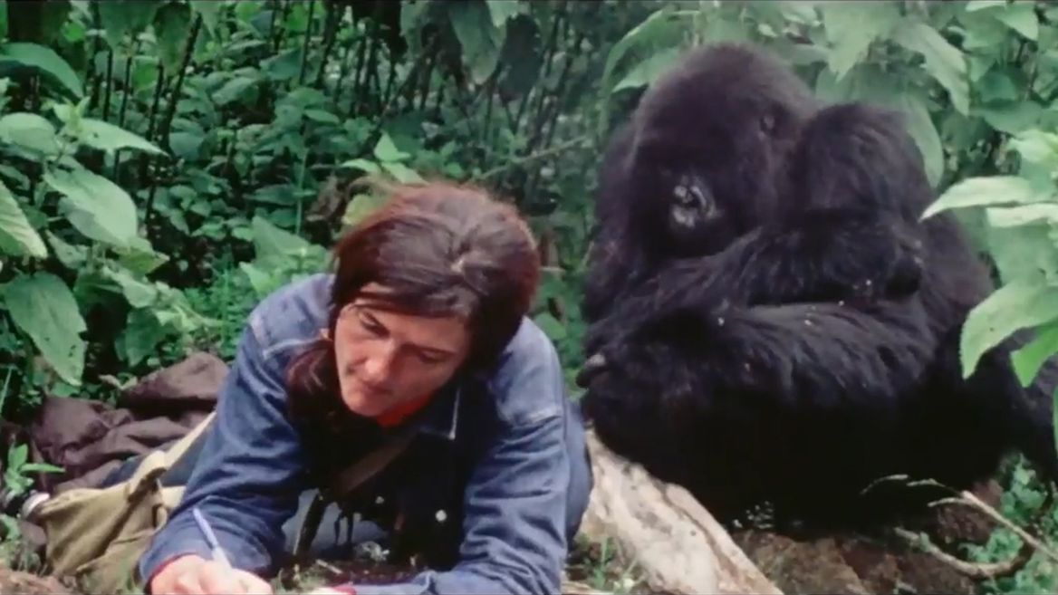 Hikers on the Dian Fossey memorial trek in Rwanda
