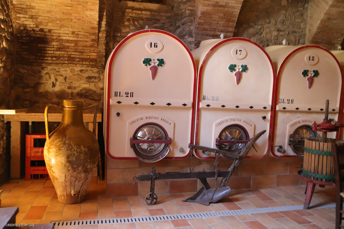 Vineyard Tour and Tasting of Lugana Wines - Photo 10