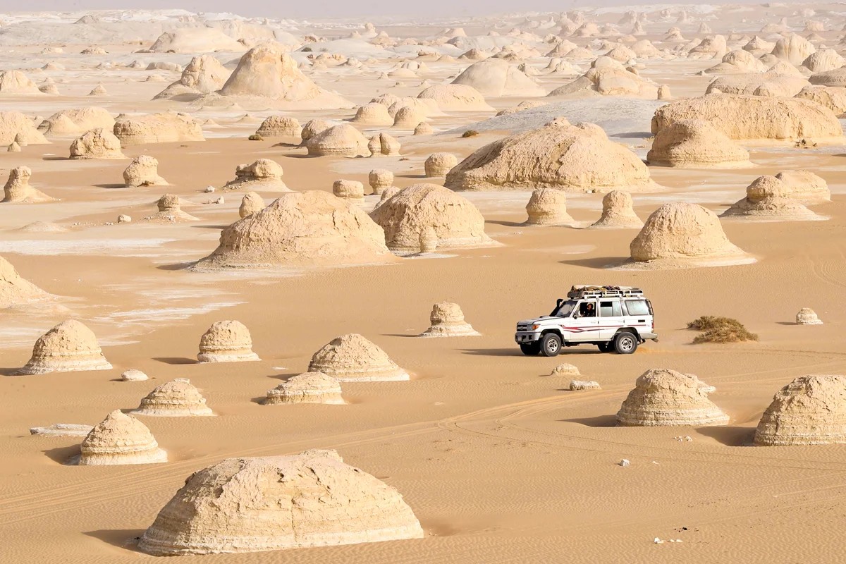 Tour de 5 días de safari por el desierto del Oasis de Siwa - Foto 4