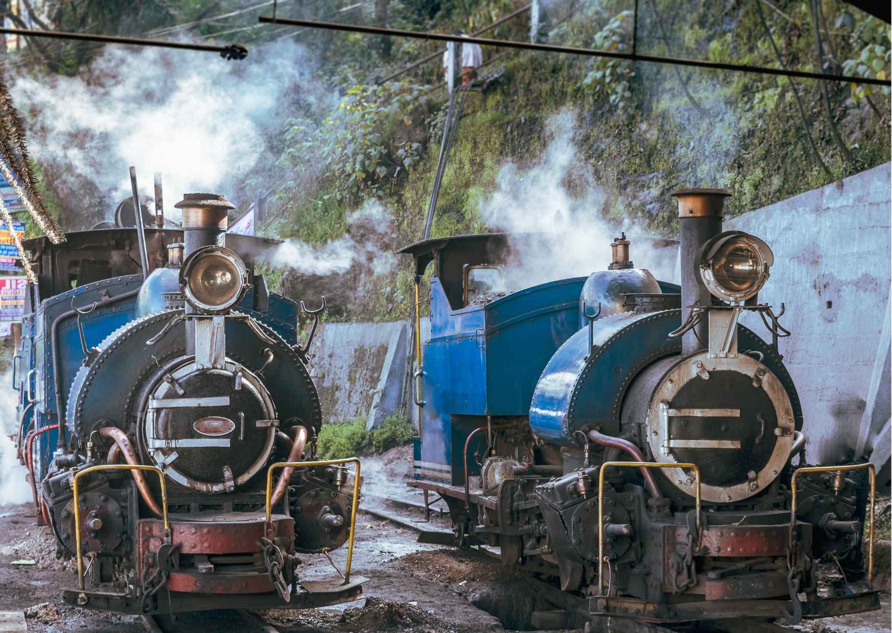 Best of Darjeeling (Guided Halfday Sightseeing Tour by Car) - Photo 7
