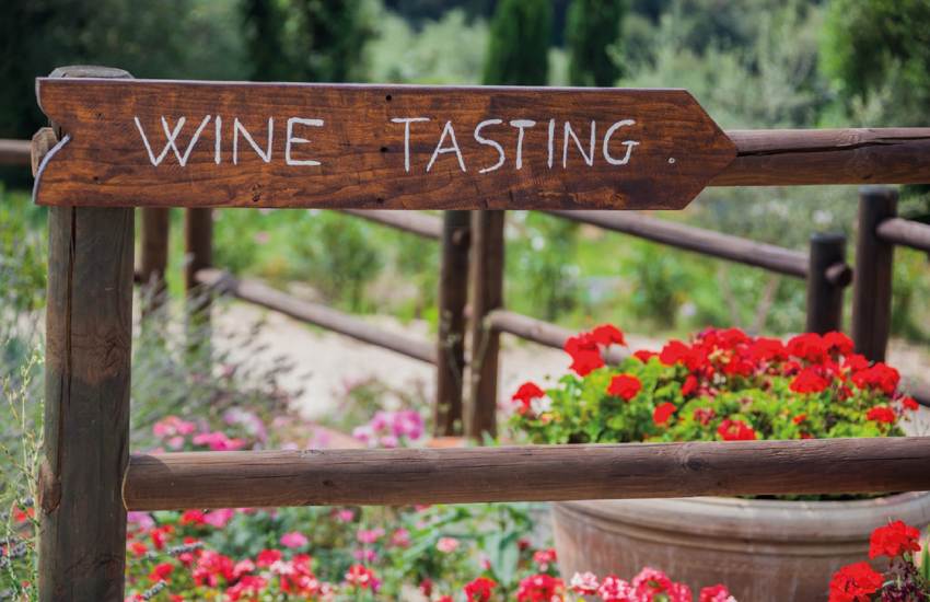 Brunello di Montalcino Wine tour from San Gimignano  - Photo 4