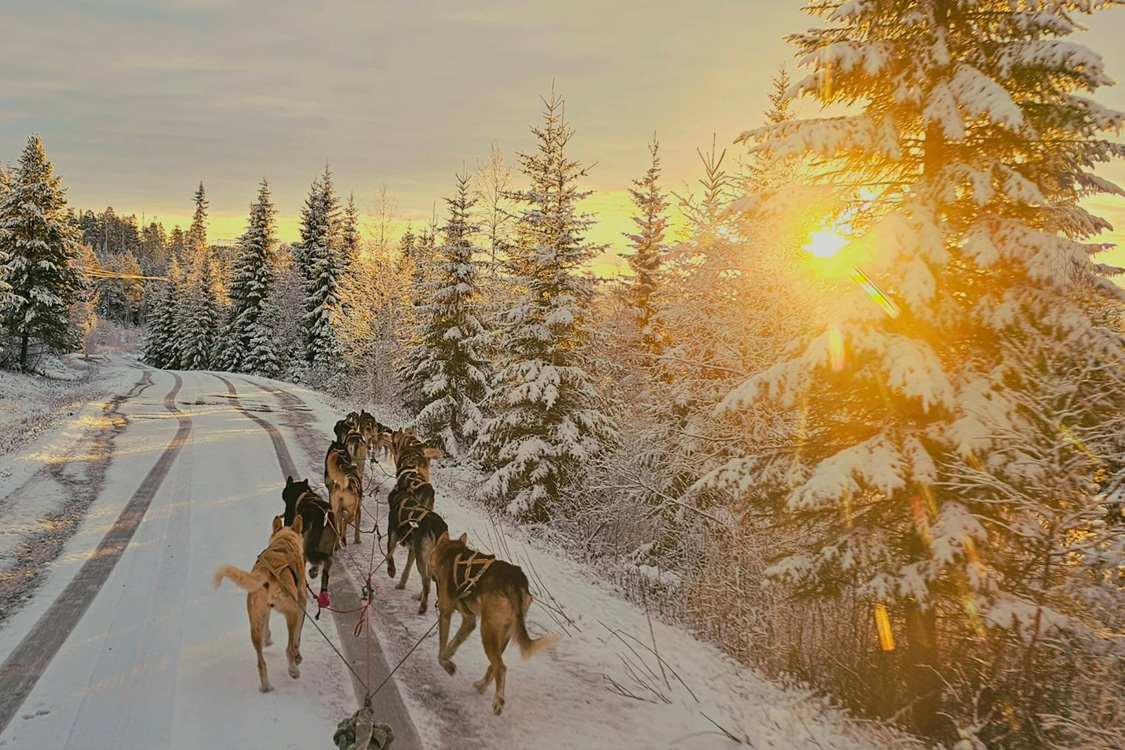5km SISU Husky Safari and Visit Experience – Sodankylä