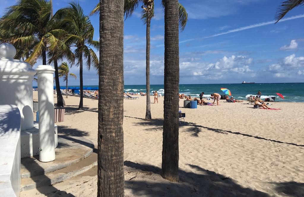 WET & DRY FORT LAUDERDALE  - Photo 2