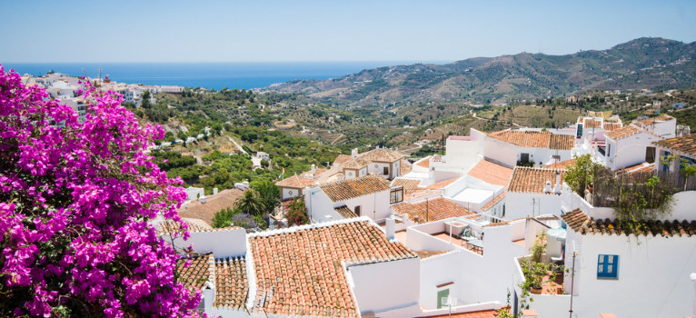 From Malaga: White Village Roudtrip