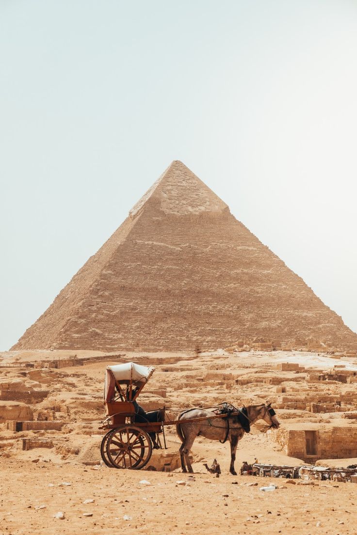 Cairo stopover tour at Cairo airport.