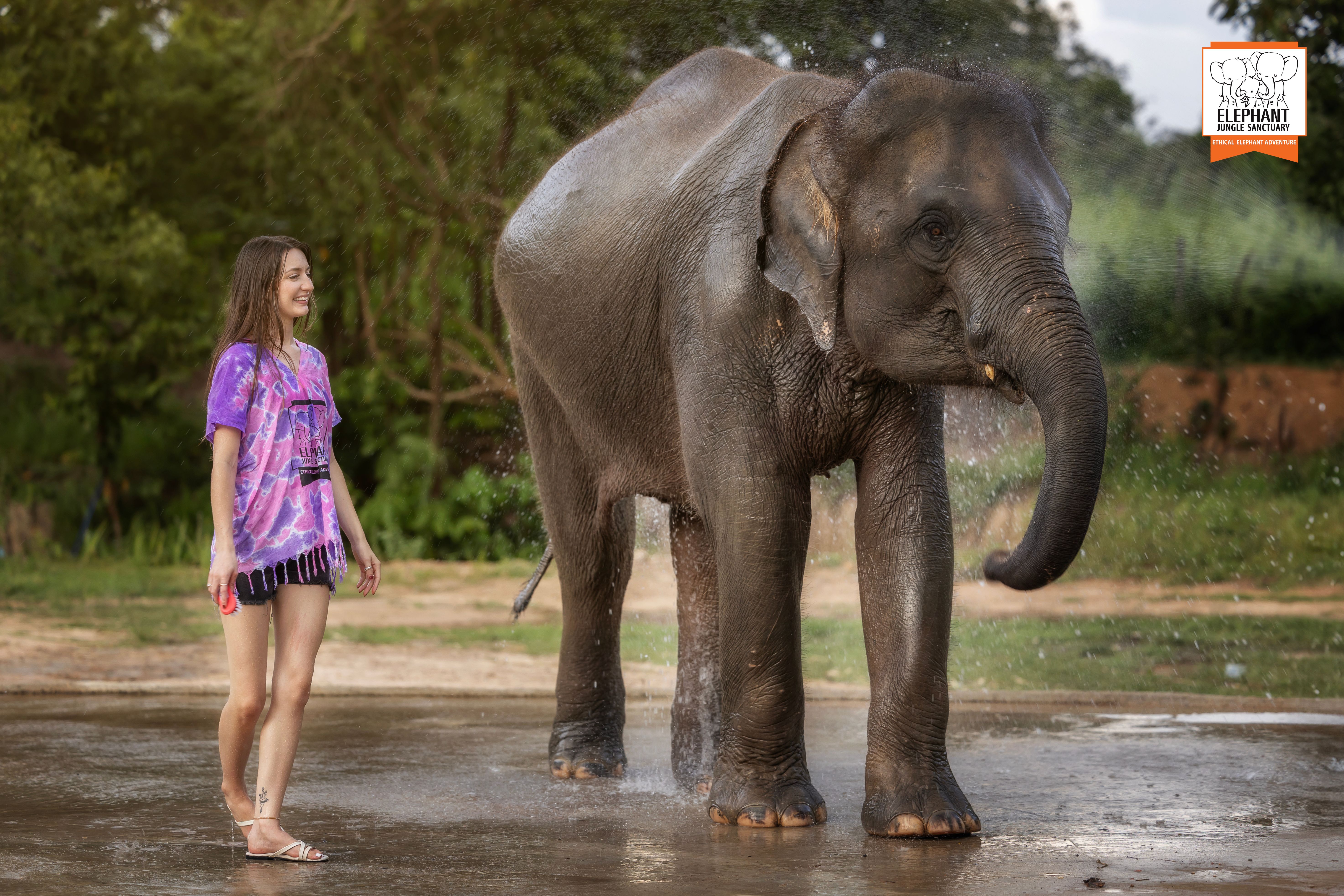 Chiang Mai: Beslenme ve Duş Deneyimi