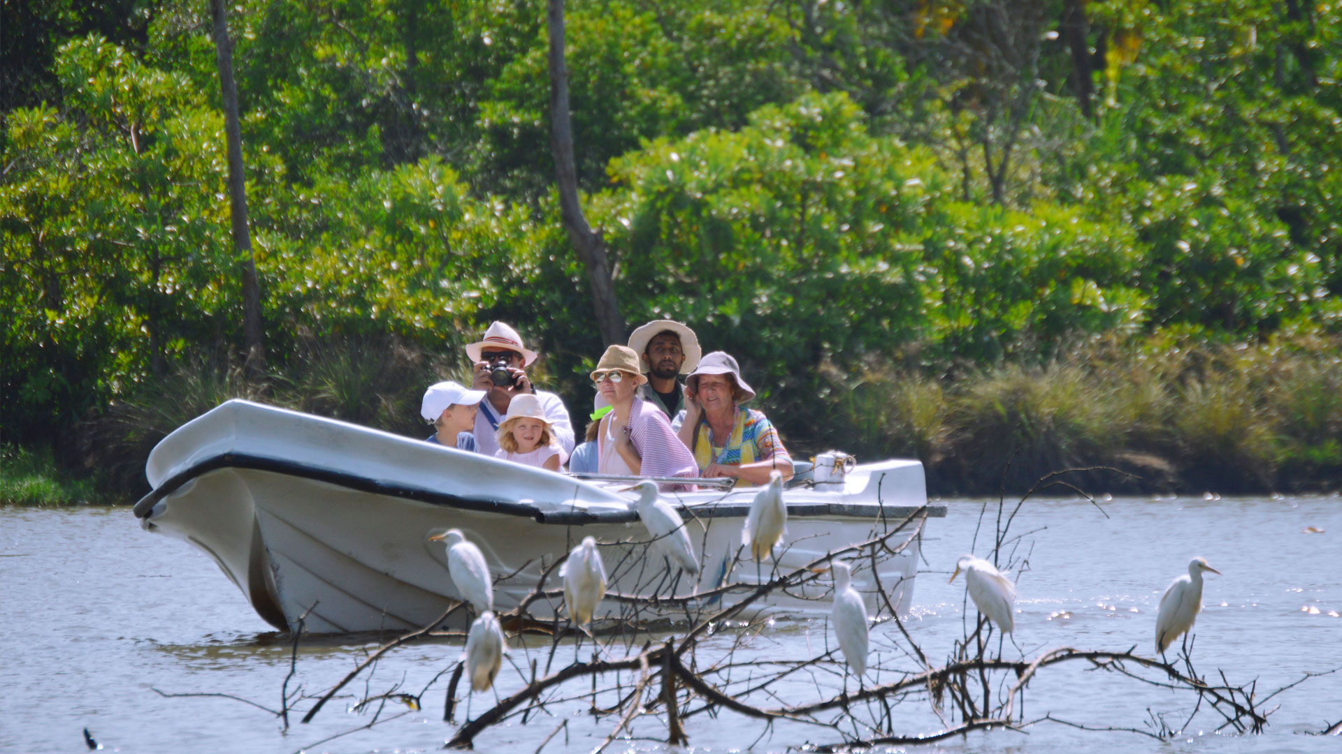 Birdwatching at Muthurajawela Marsh from Negombo