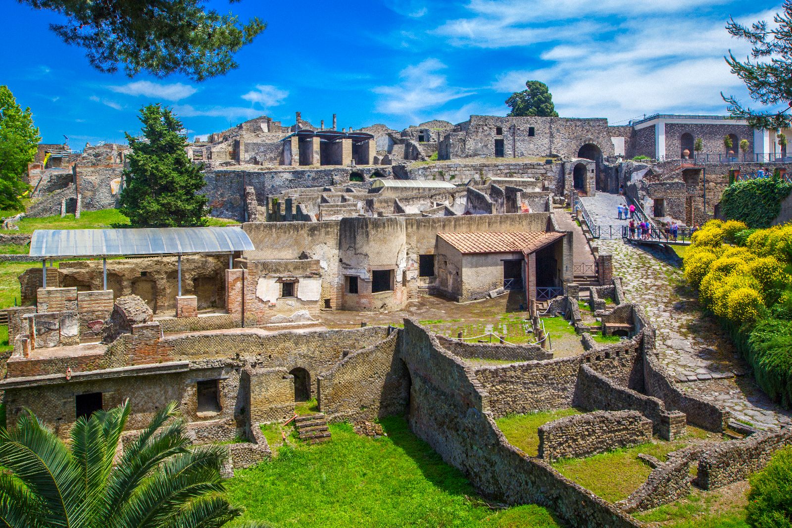 POMPEI RUINS and MOUNT VESUVIUS guided tour with Pizza Lunch (spanish-french) - Photo 24