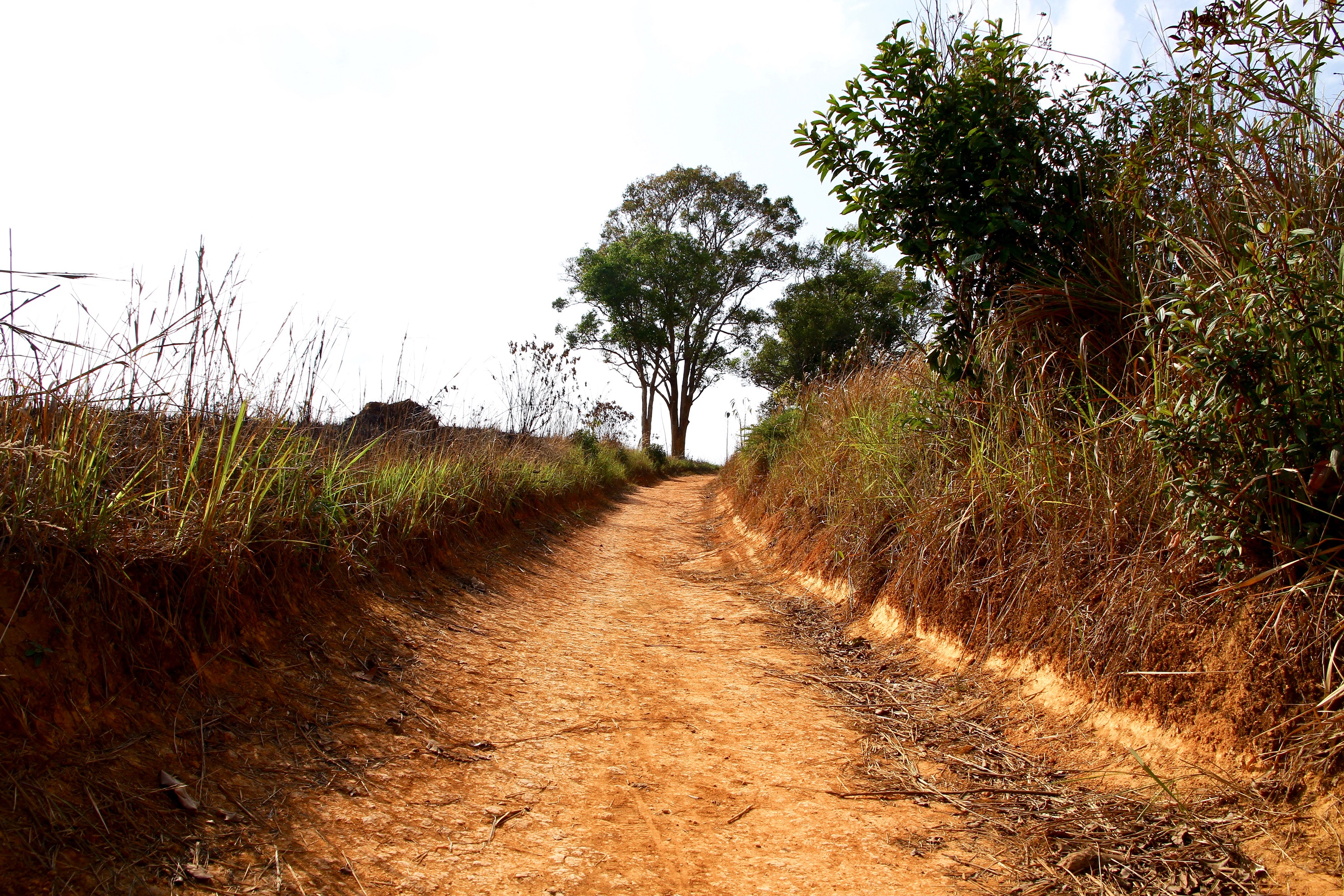 Khao Yai National Park Tour with Waterfalls from Bangkok: Semiprivate or Private Option with Pickup
 - Accommodations in Bangkok