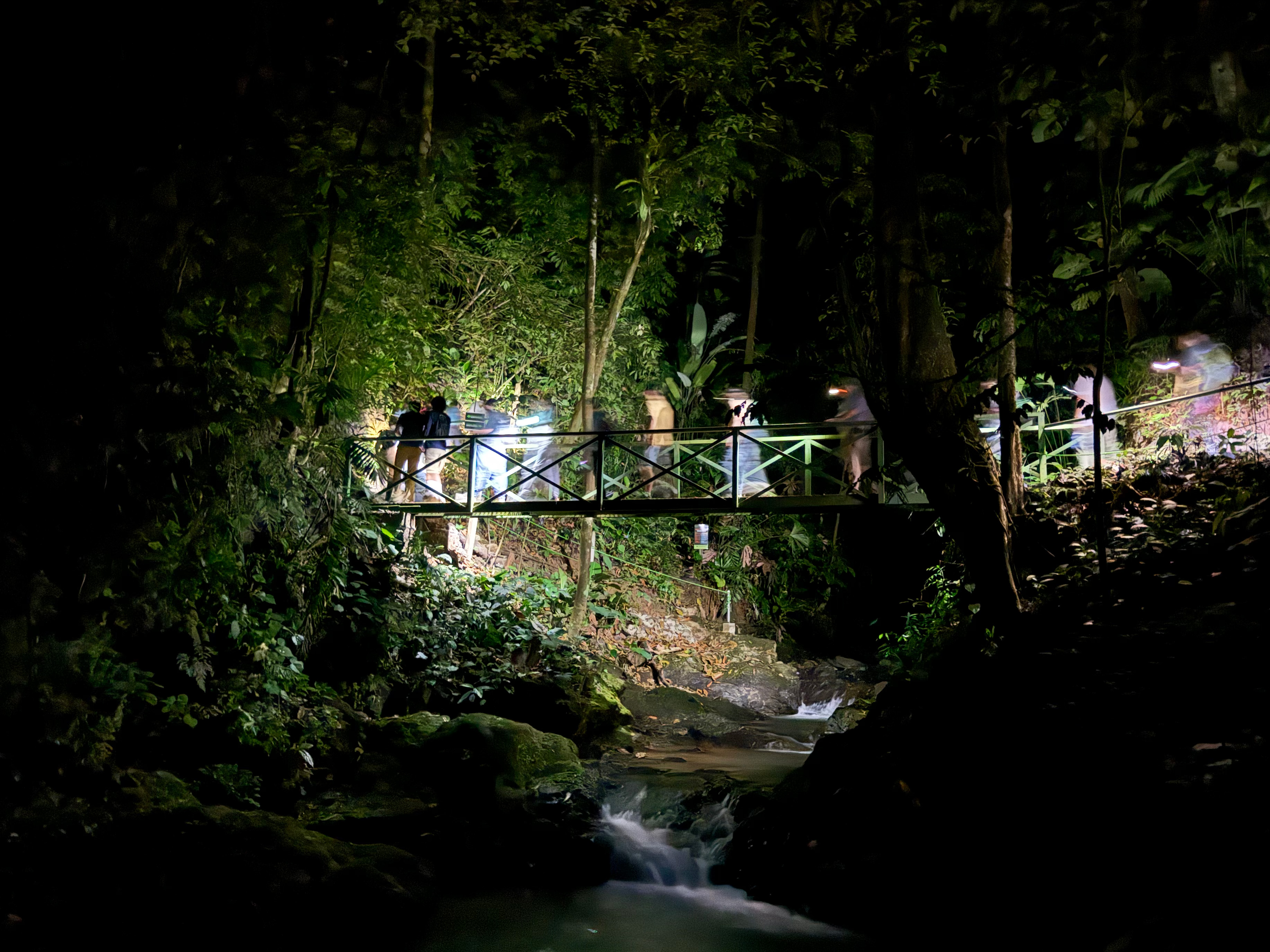 Caminata nocturna explorando la vida silvestre. - Foto 3