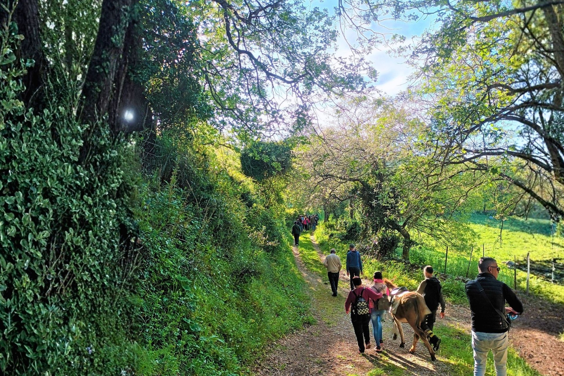 Sassari: hiking with donkeys in Cargeghe and aperitif - Photo 2