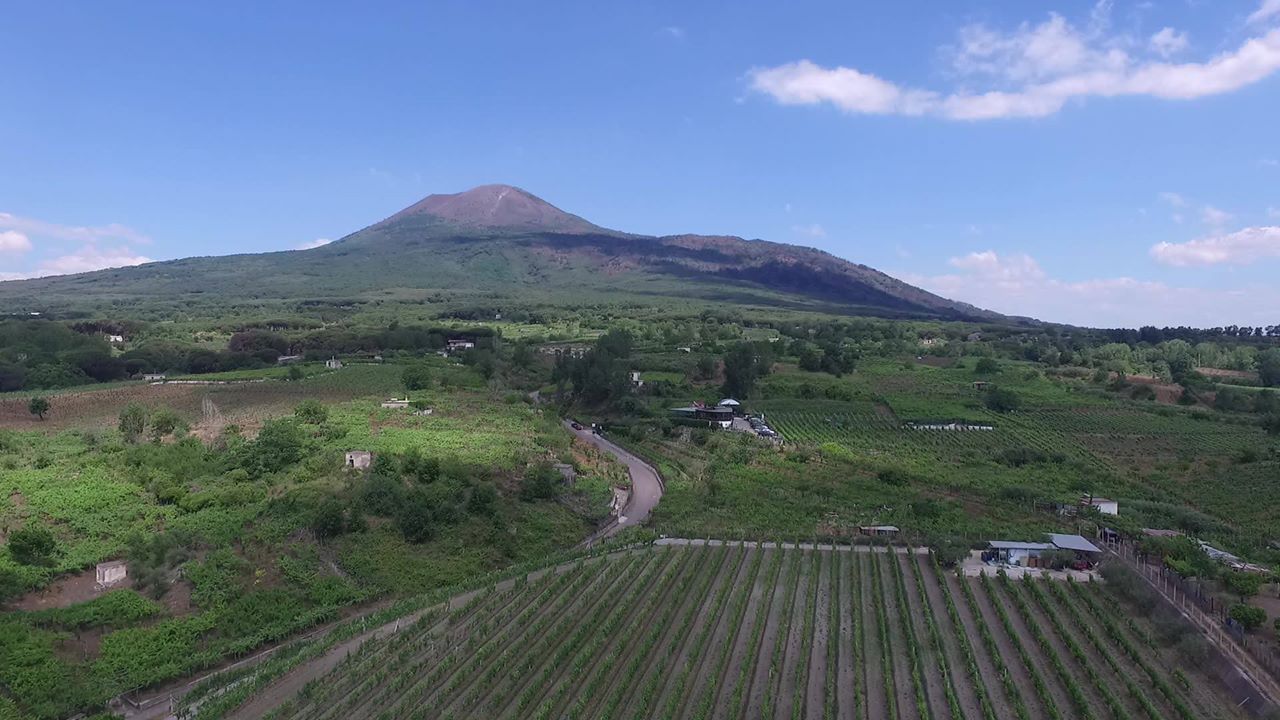 Harvest time: Educational Farm in the Vineyard - Photo 6