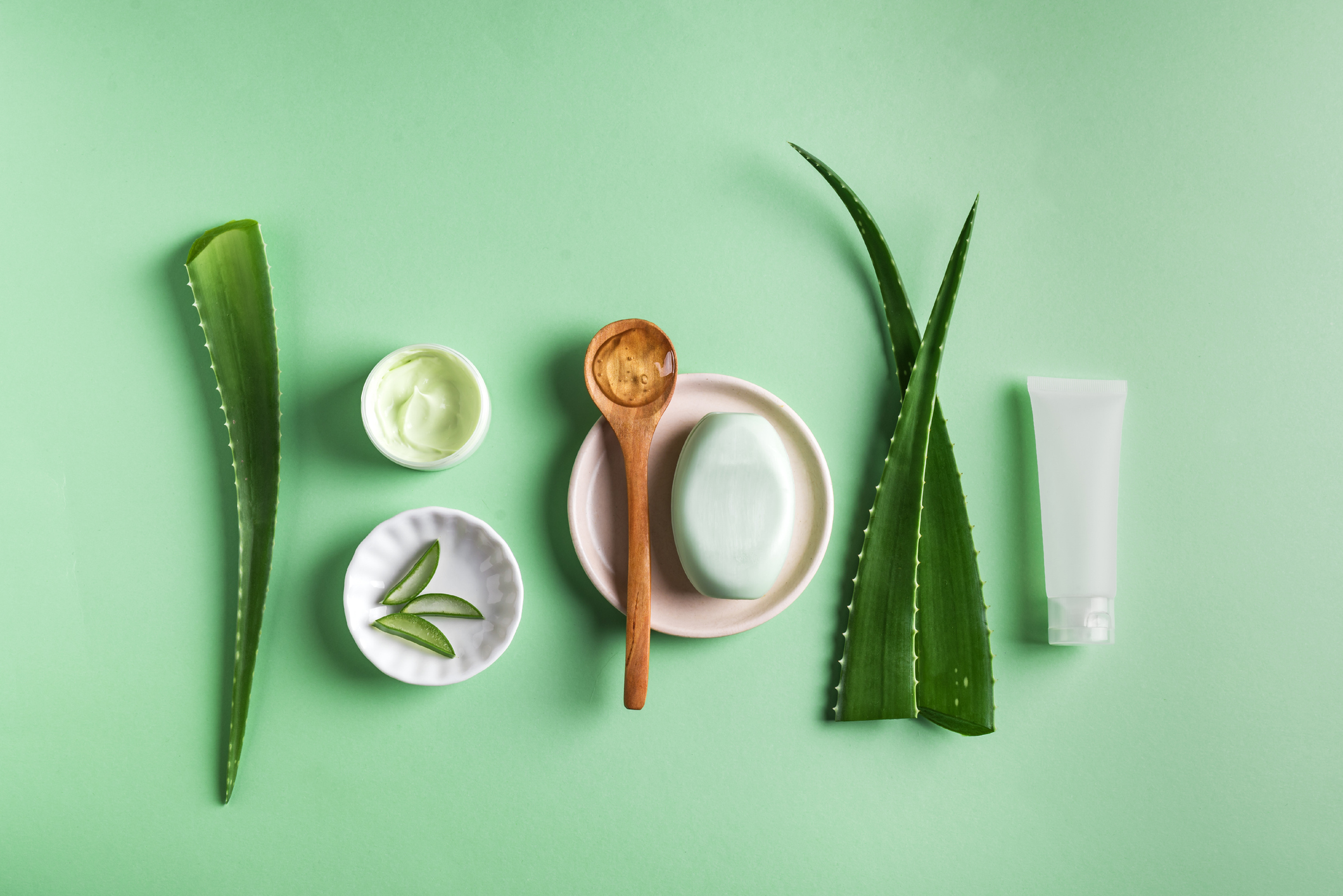 Taller de aloe vera: Elaboración de mascarilla natural 