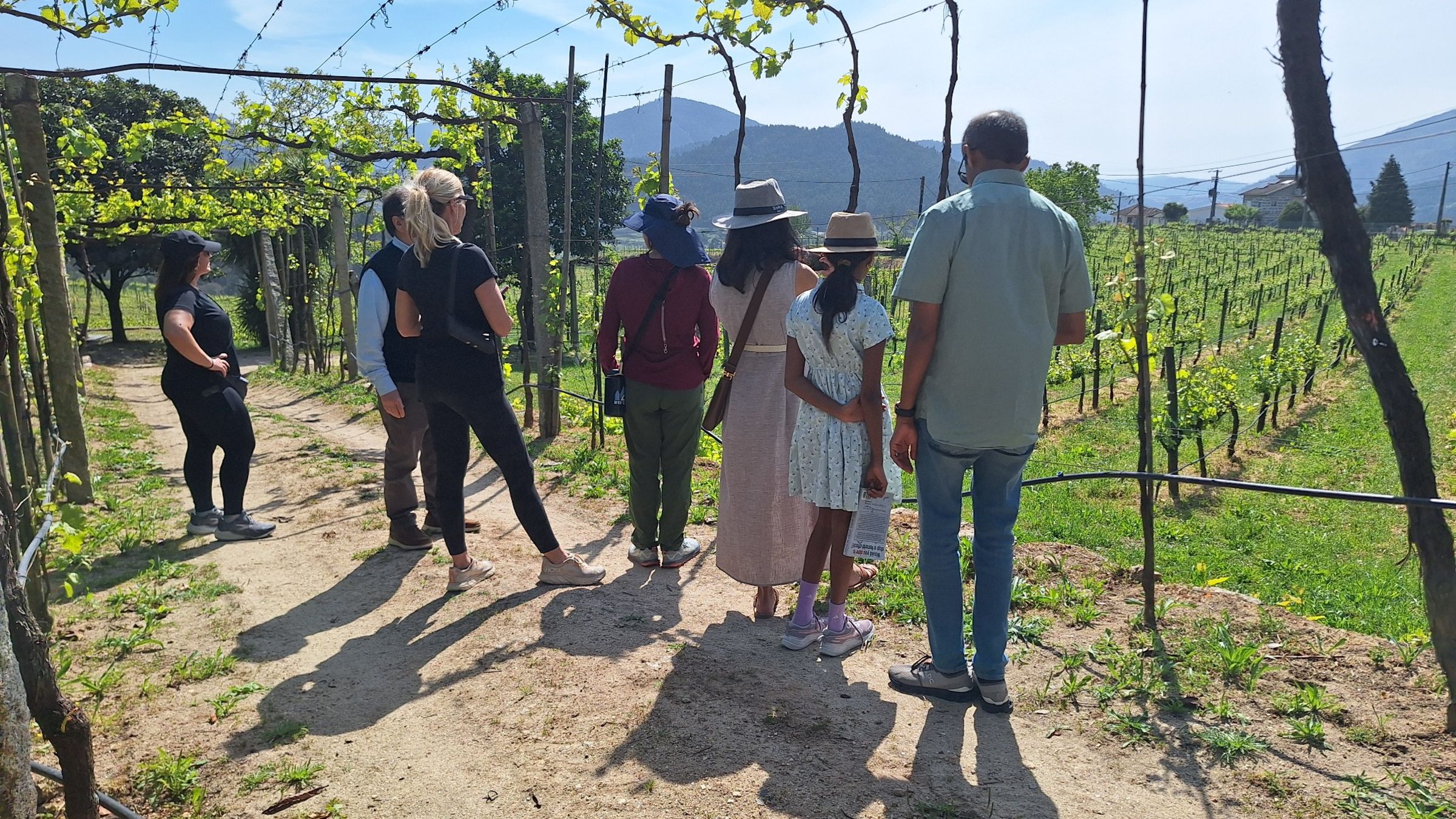 Private Paiva Walkways, 516 Bridge and Wine Tasting Tour - Photo 6