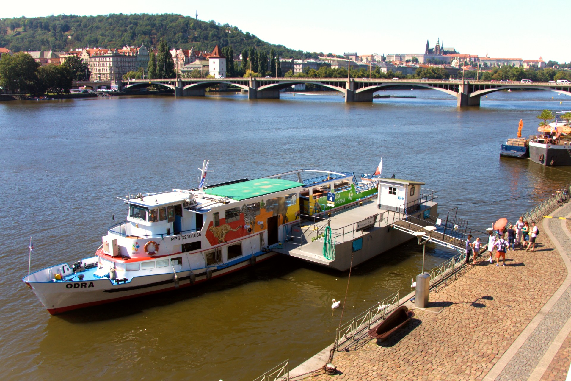 Boat to the ZOO with Italian Guide