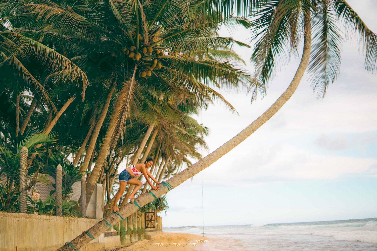 Southern Coast Highlights from Panadura