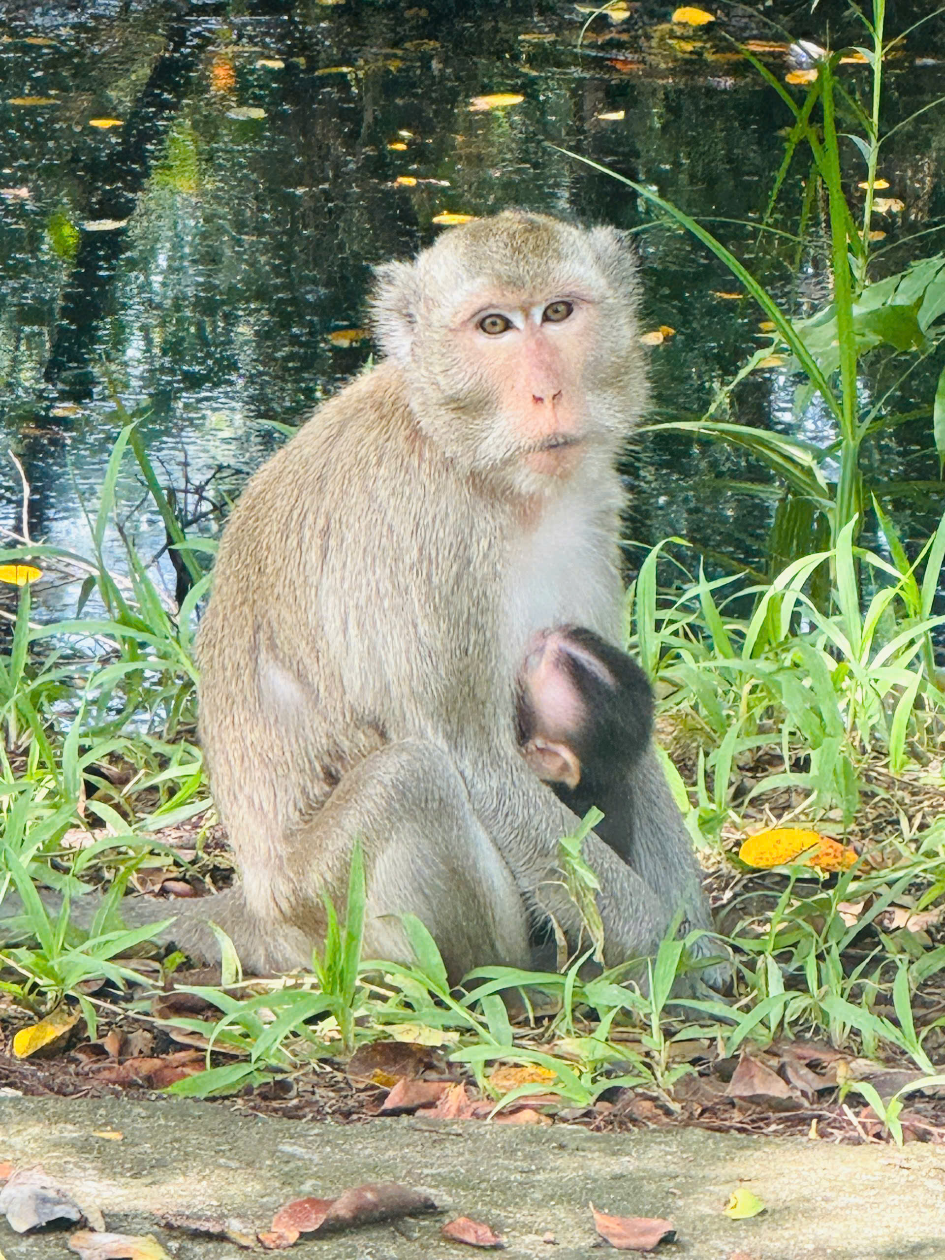 U Minh Thuong National Park Deep Exploration