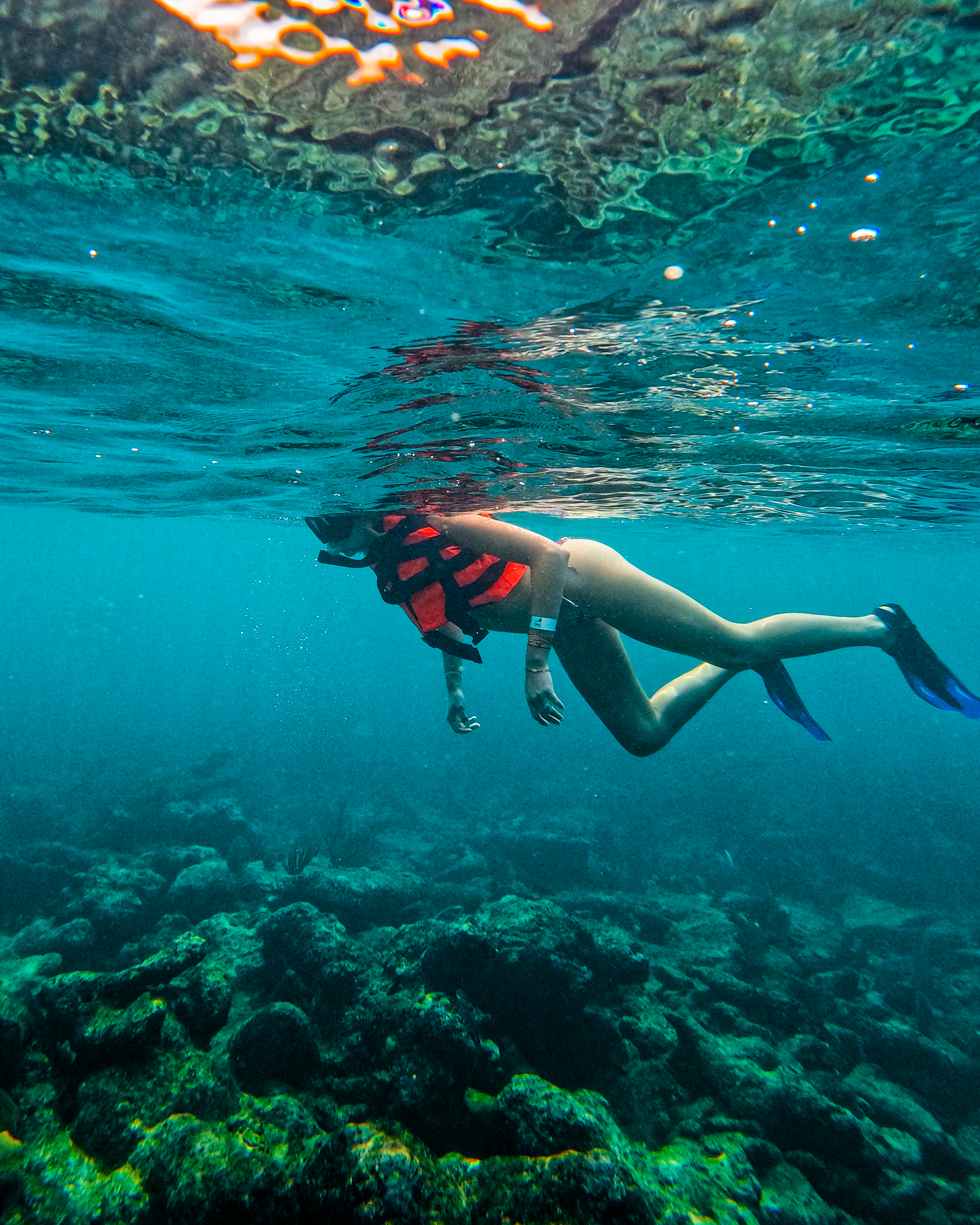 1.5 hours Snorkeling at Tulum's paradise reef — 56/92