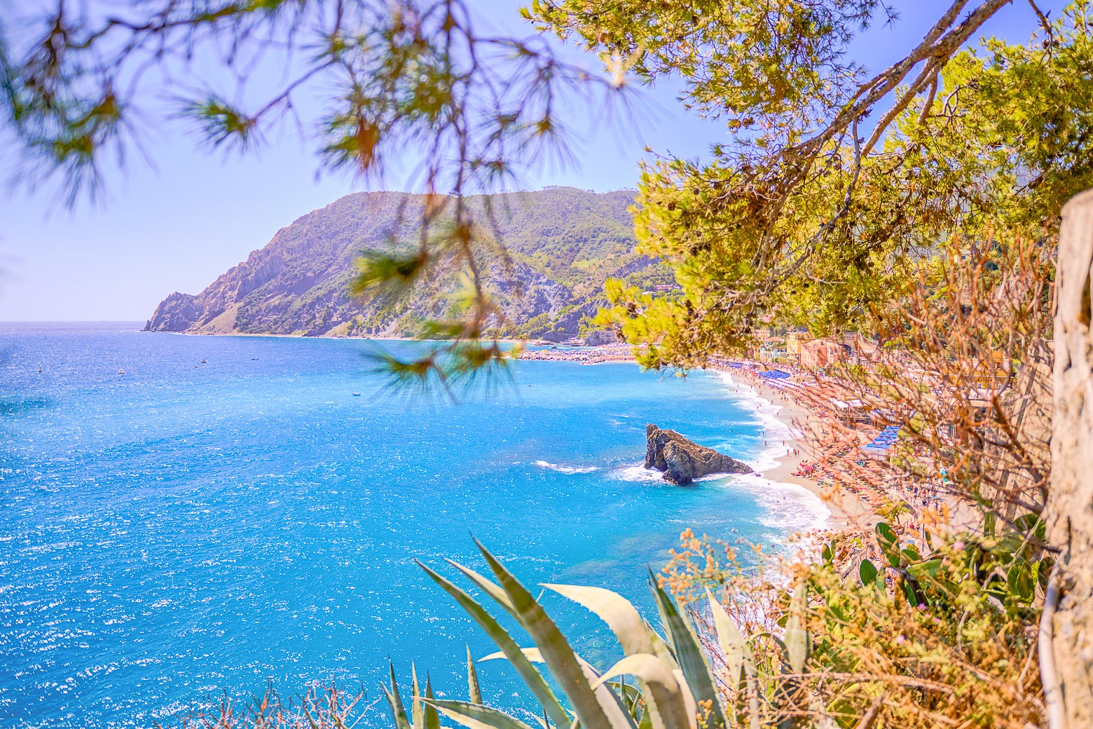 Discover Cinque Terre National Park and Pisa in a Day from Florence - Photo 15
