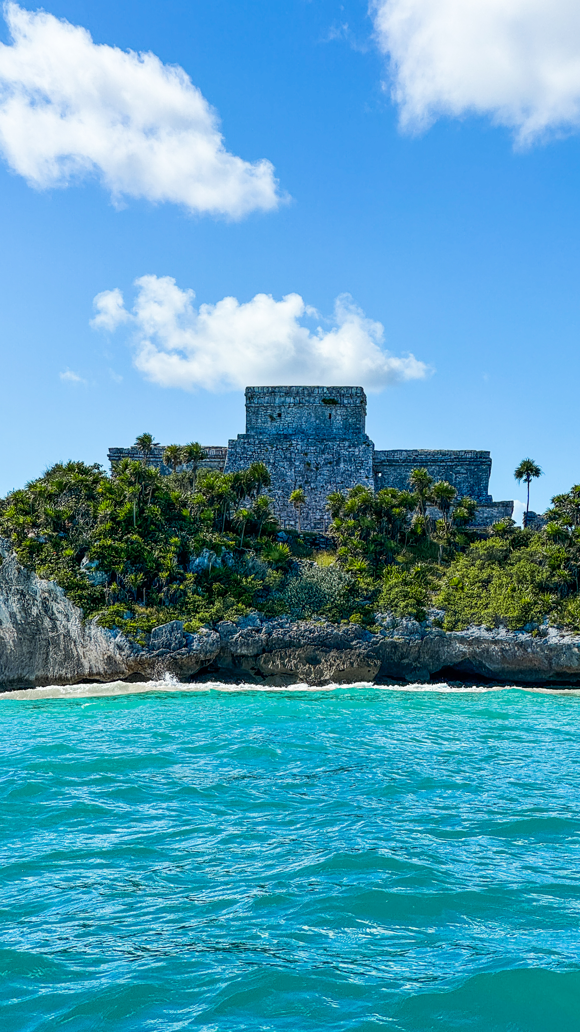 1.5 hours Snorkeling at Tulum's paradise reef — 69/92