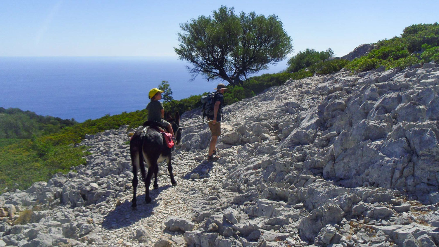 From Dorgali: 3-day donkey trekking in the Gulf of Orosei - Photo 4