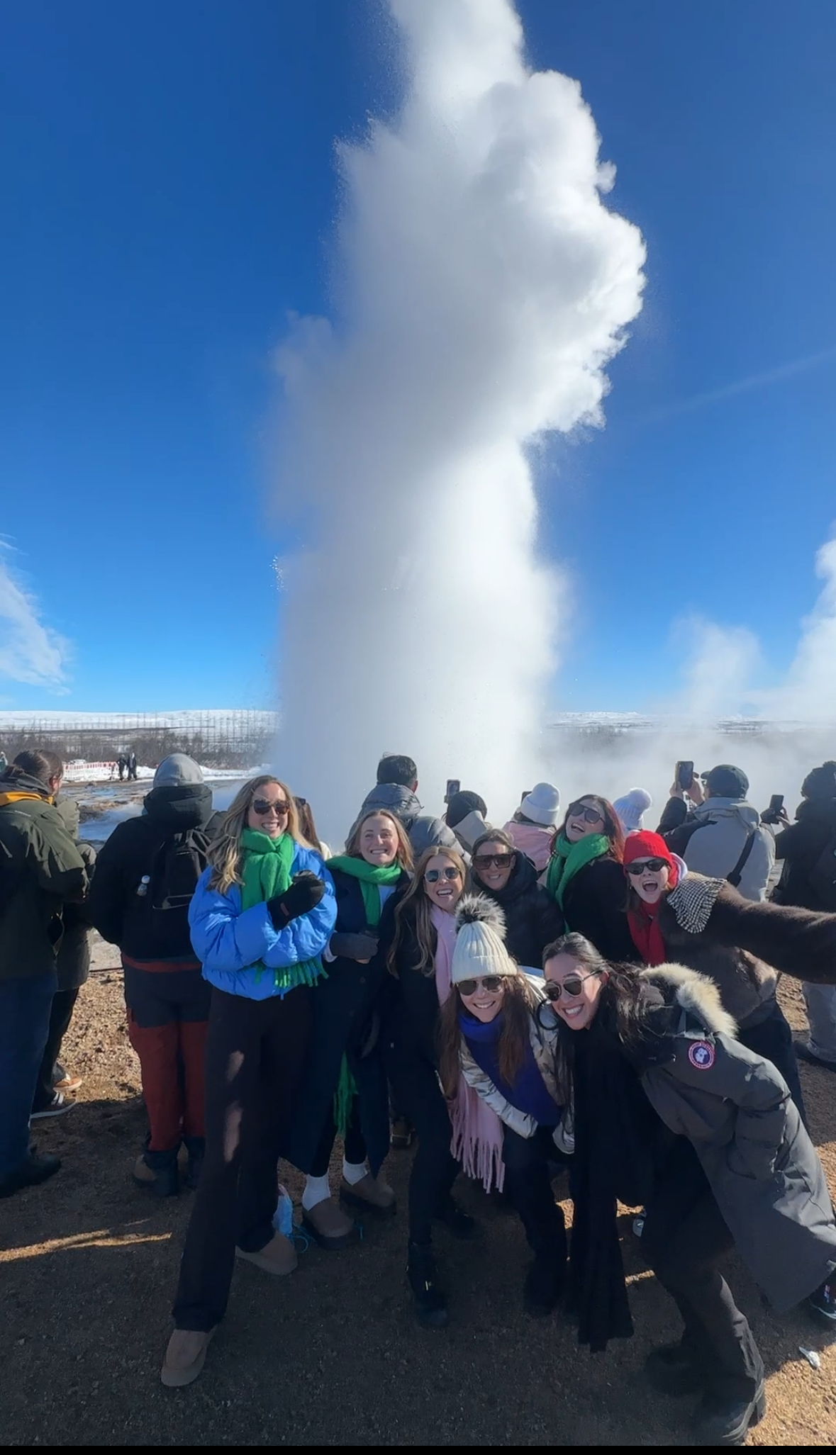 Golden Circle Private Tour & Fridheimar Farm Visit from Reykjavik - photo 8