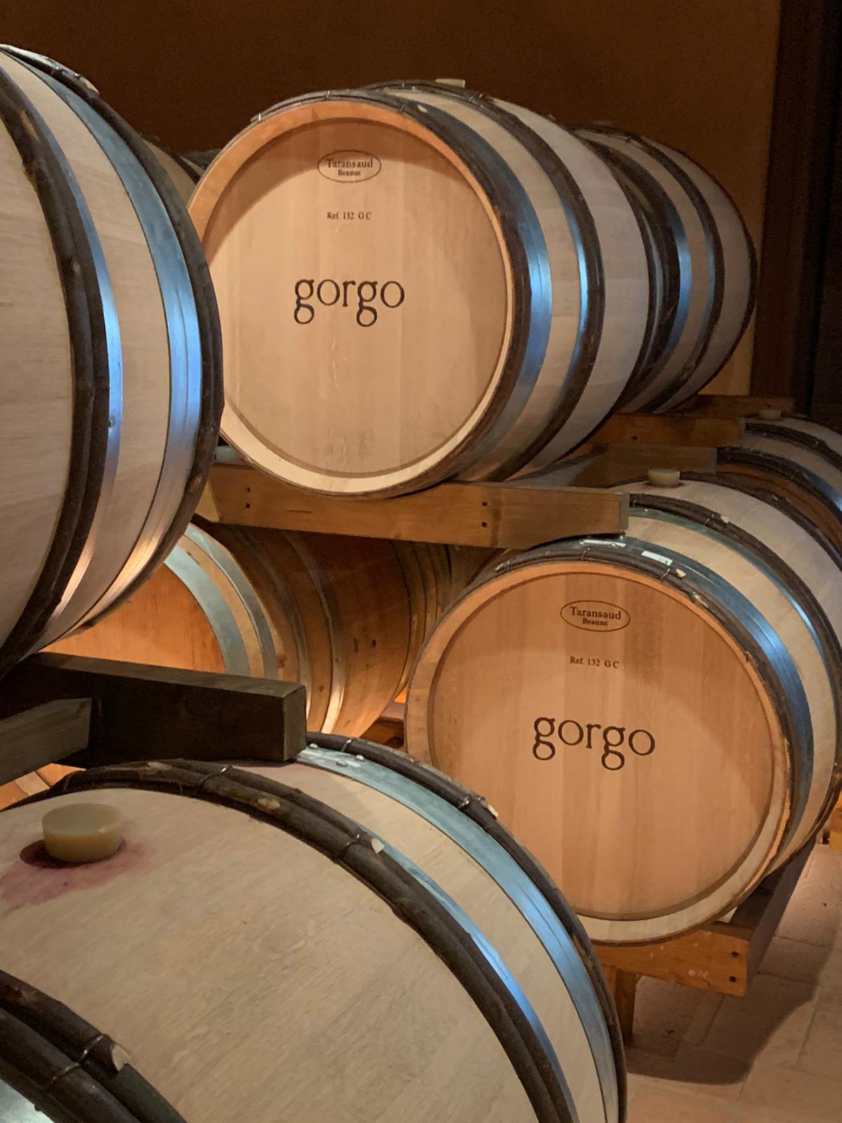 Tour and tasting of 3 organic wines near Custoza - Photo 3