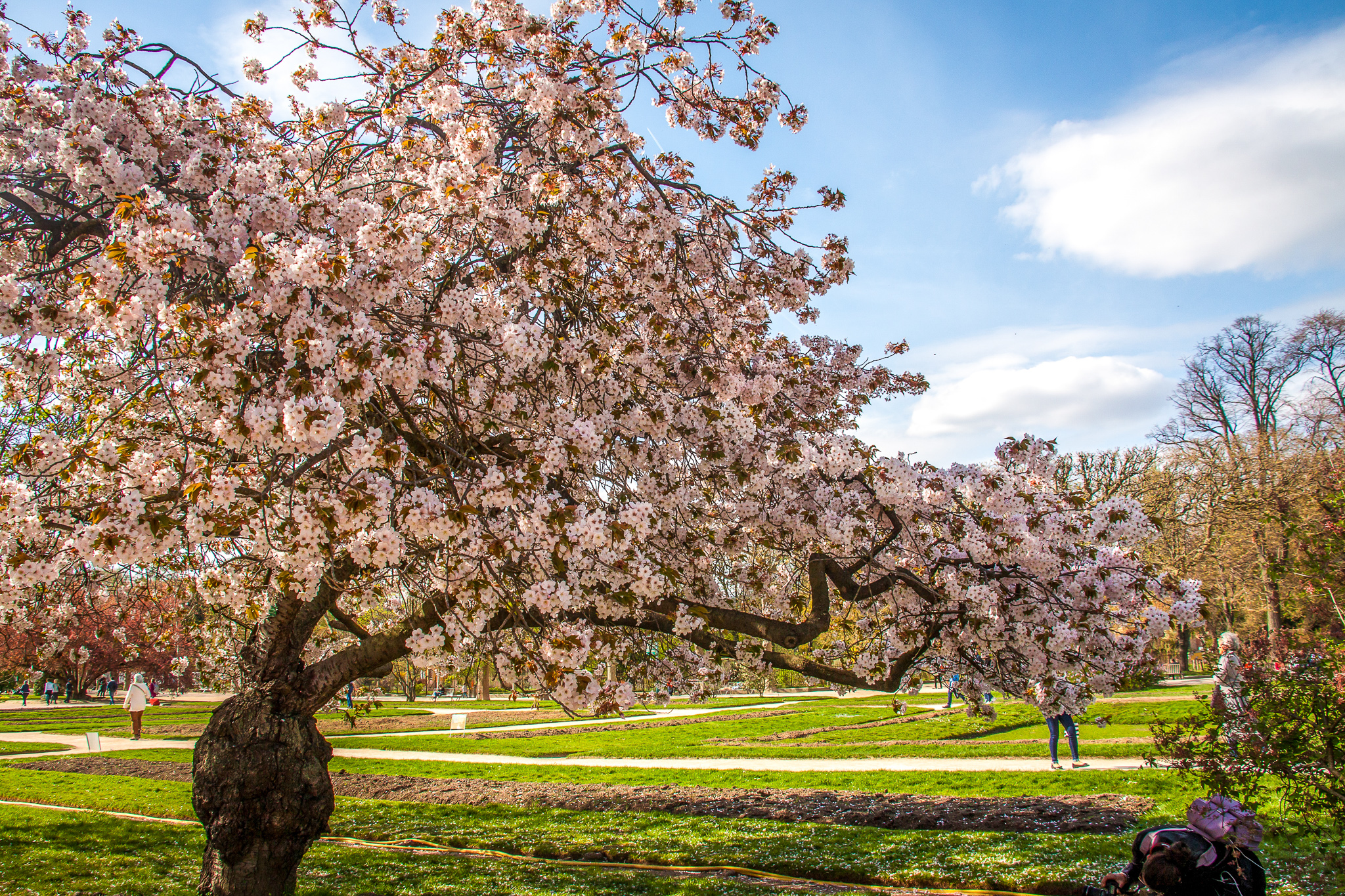 Stroll in the Jardin des Plantes (Botanical Garden) – Image 3 | WeShare