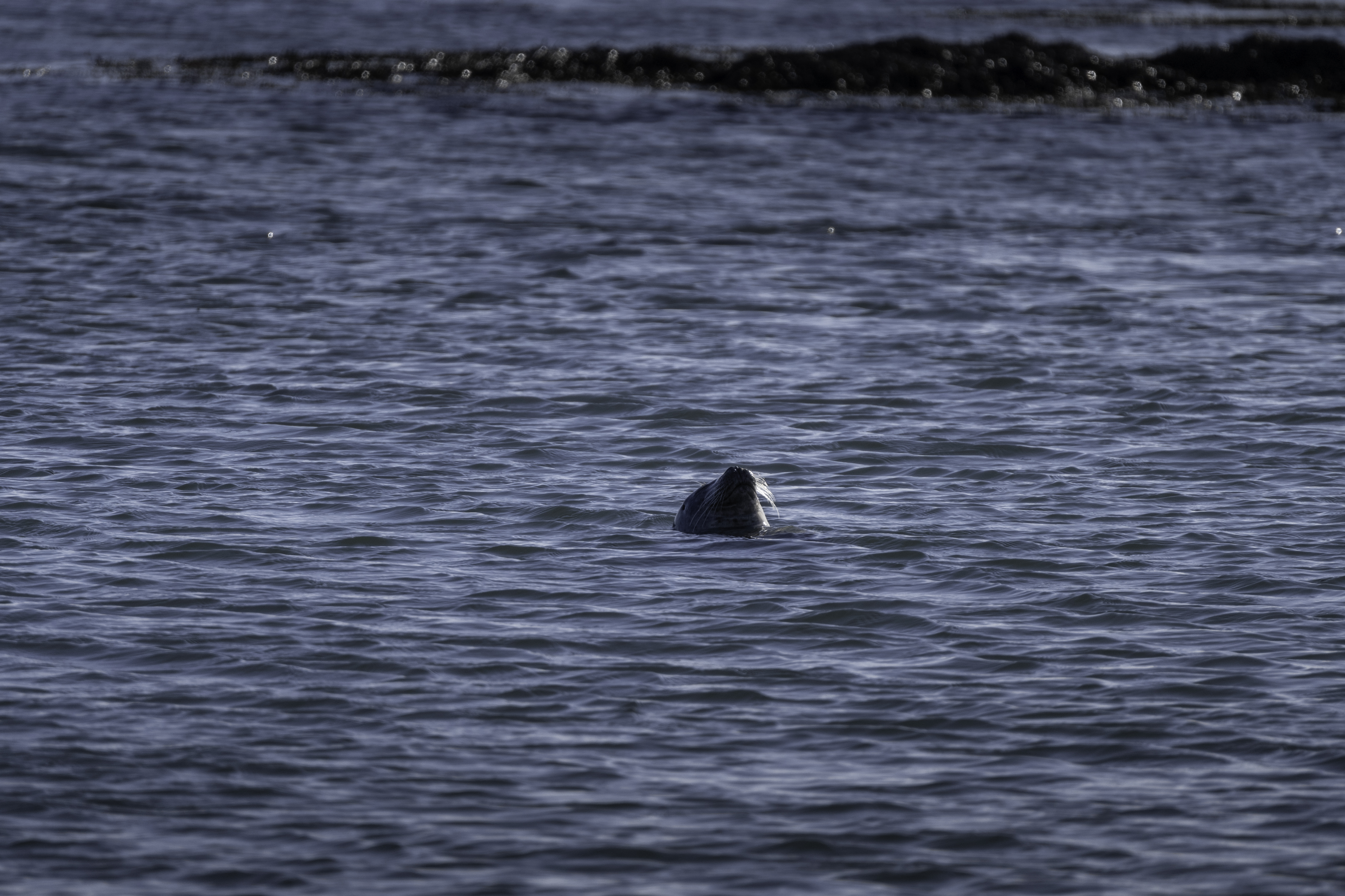 Small group Tour: Snæfellsnes Peninsula and Lava Cave - photo 2