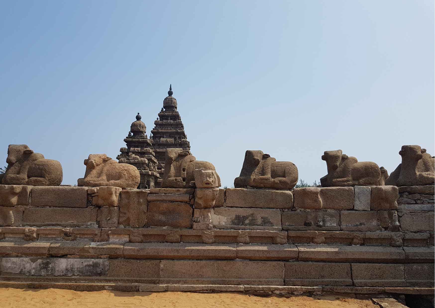 Day Trip to Mahabalipuram (Curated Private Sightseeing Experience) - Photo 8