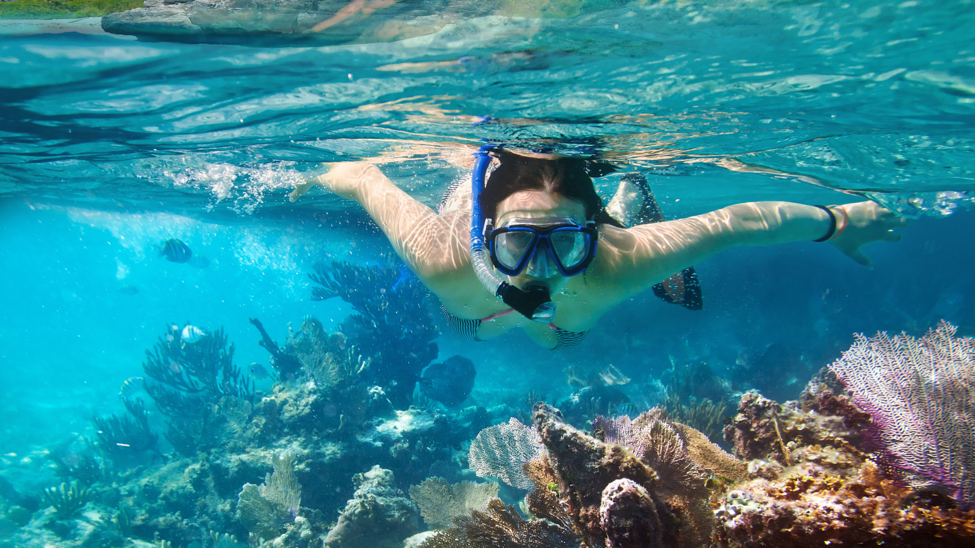 Nha Trang: tour de snorkel y isla en el parque marino Hon Mun