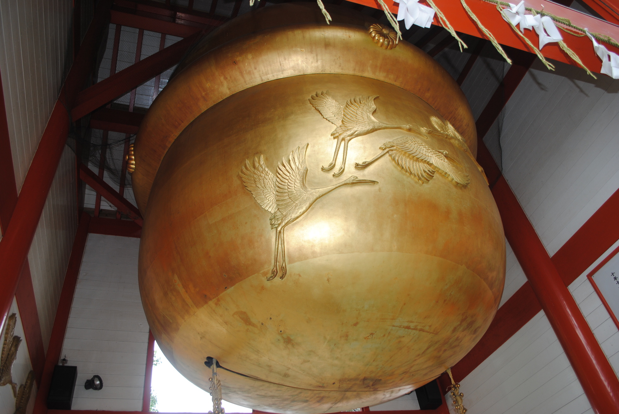 ���{��̑��