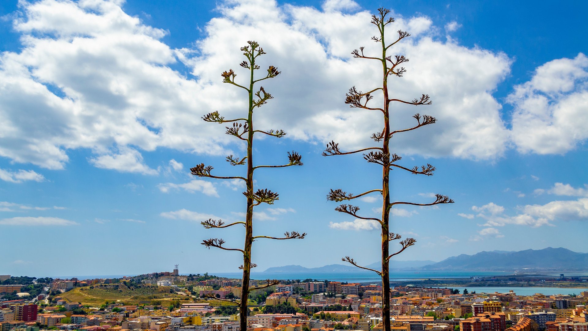 Cagliari: tour of the archaeological site of Nora - Photo 10