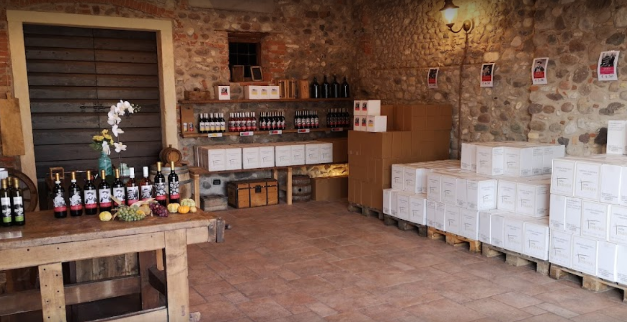 Vineyard tour and tasting of Garda Wines in Cavaion Veronese - Photo 17