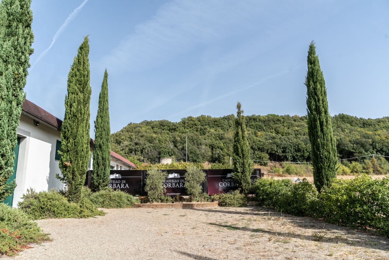 The Wines of Corbara: Exploring the Flavors of Umbria - Photo 5