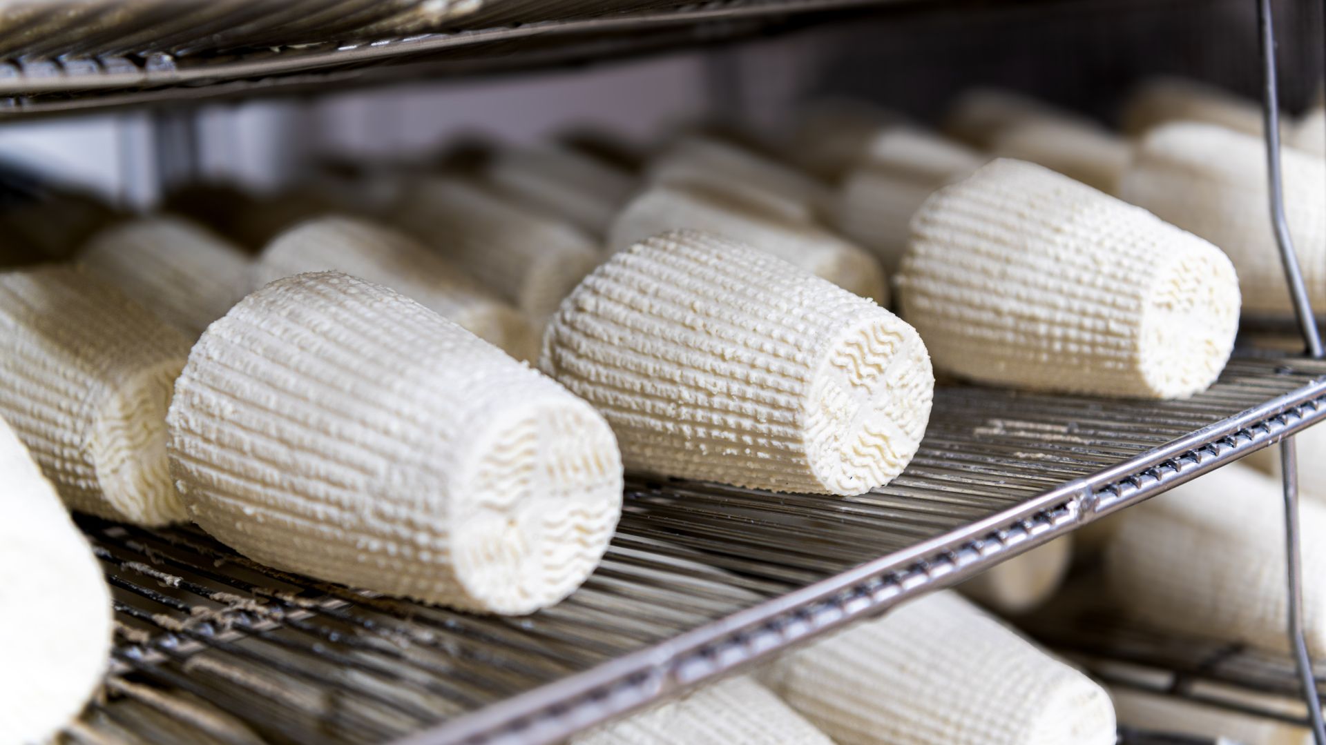 Dolianova: visit and workshop in a cheese factory - Photo 4
