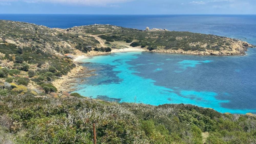 ASINARA ISLAND TOUR - Full Day (Off Road Tour in the National Park) - Photo 14