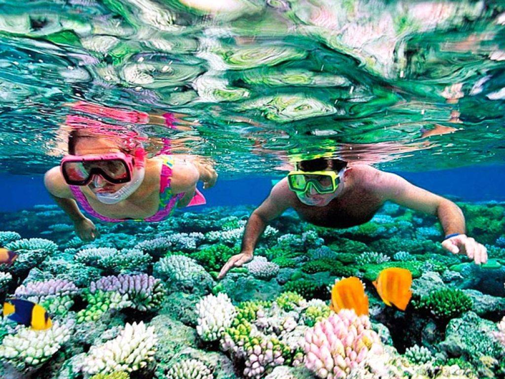 Diving trip at Shaab Samadai from Marsa Alam