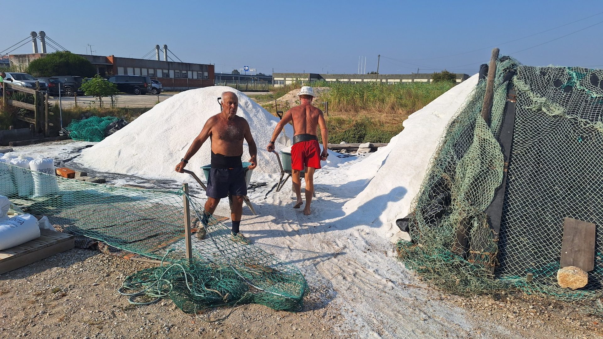Aveiro & Bairrada Private Day Tour with Salt Pans and Sparkling Wine - Photo 9