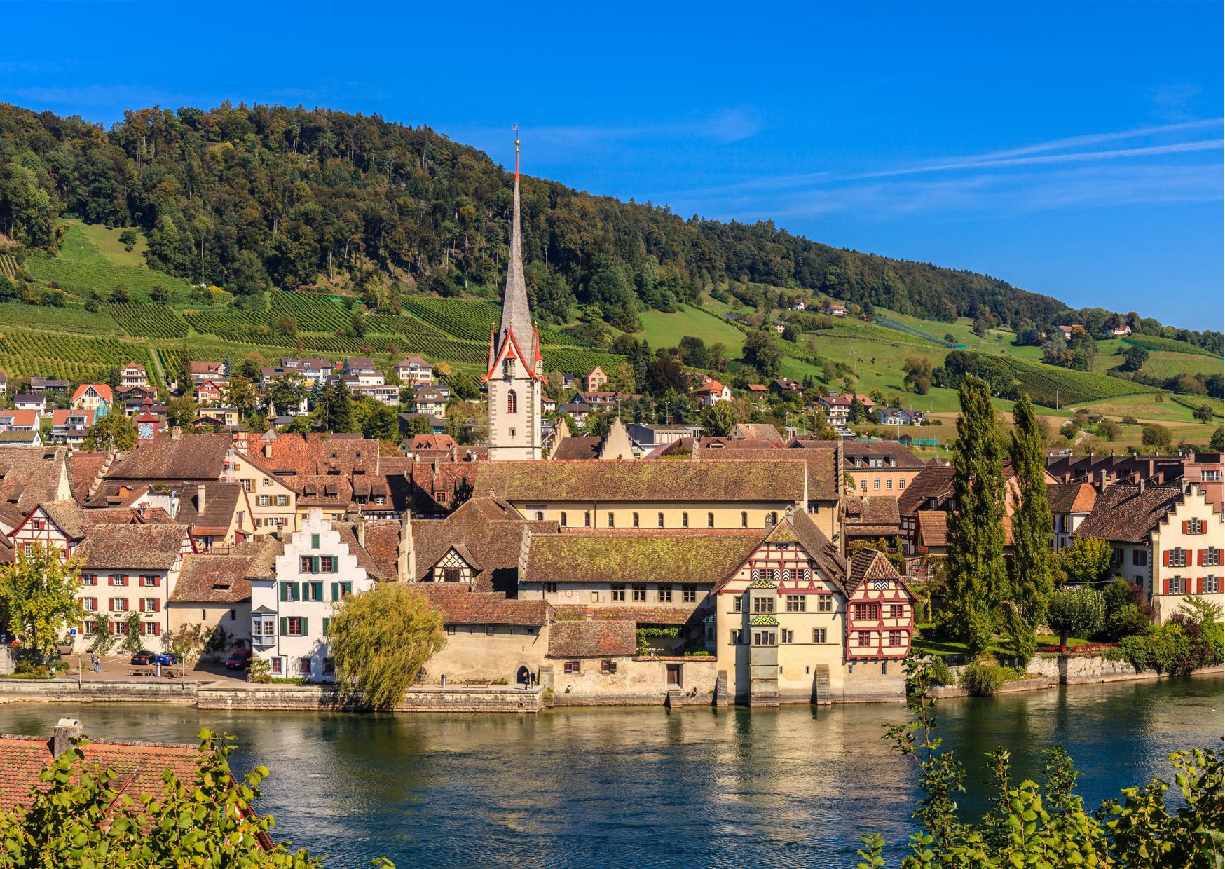 Zurich: Private Car Tour to 4 Countries in a Day with Rhine Falls - Photo 8