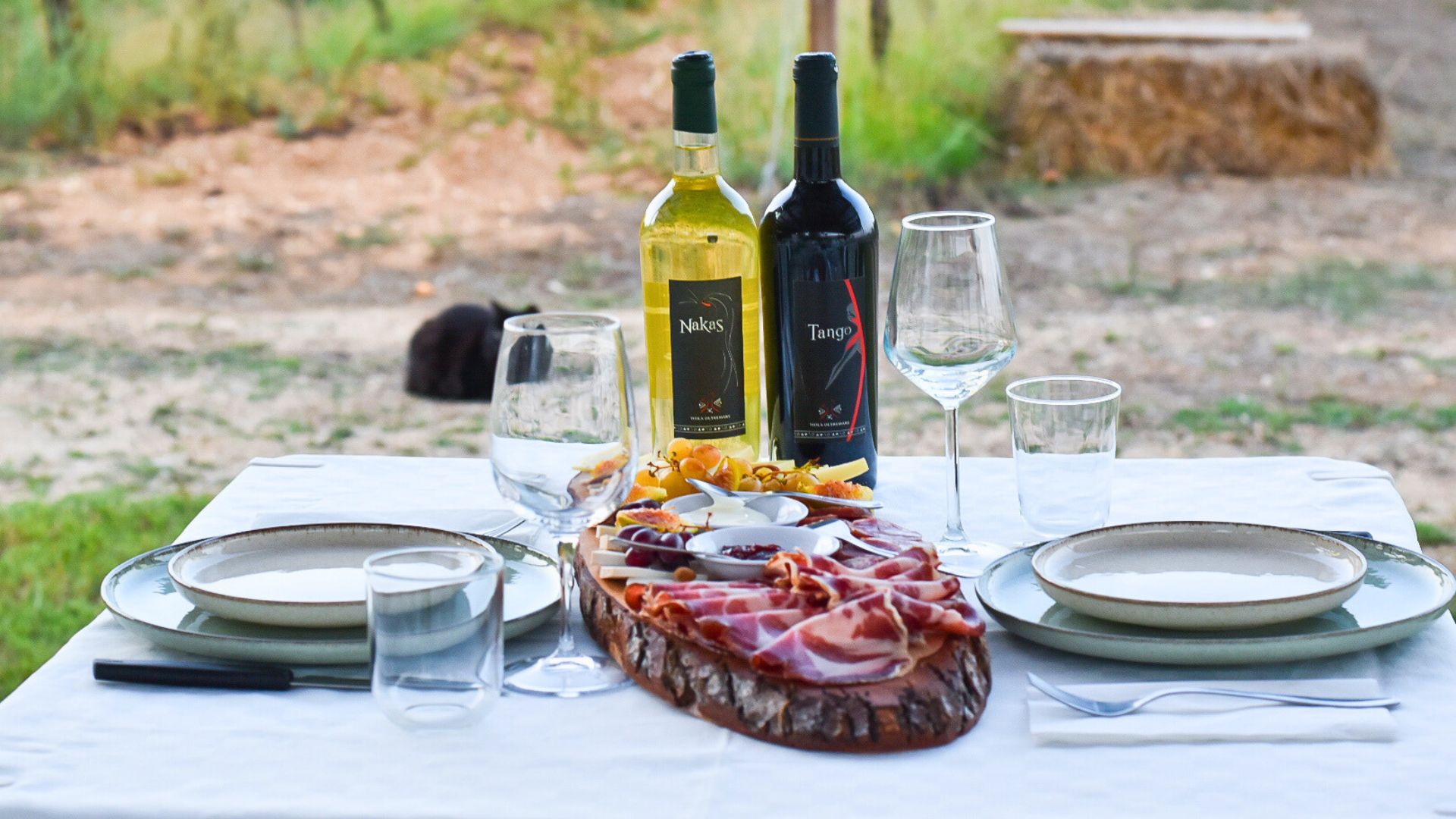 Alghero: aperitif in a vineyard - Photo 9