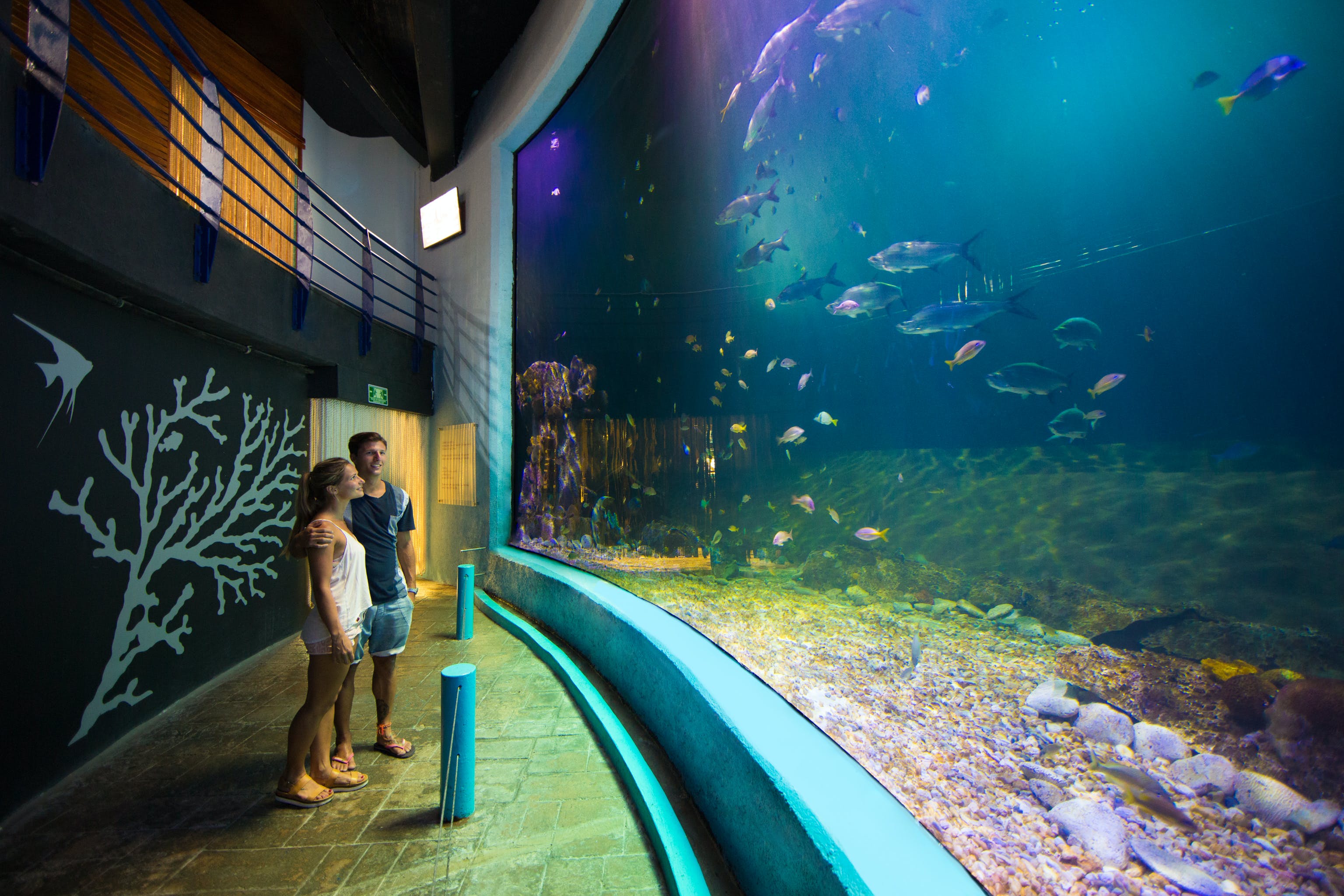 Cancun City Pass ( Choices) - Photo 15