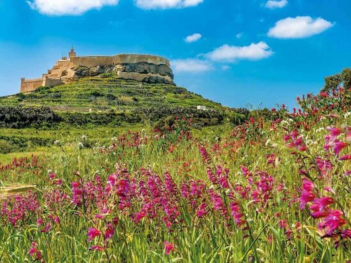 Crucero diario por Gozo, Comino y la Laguna Azul | día completo