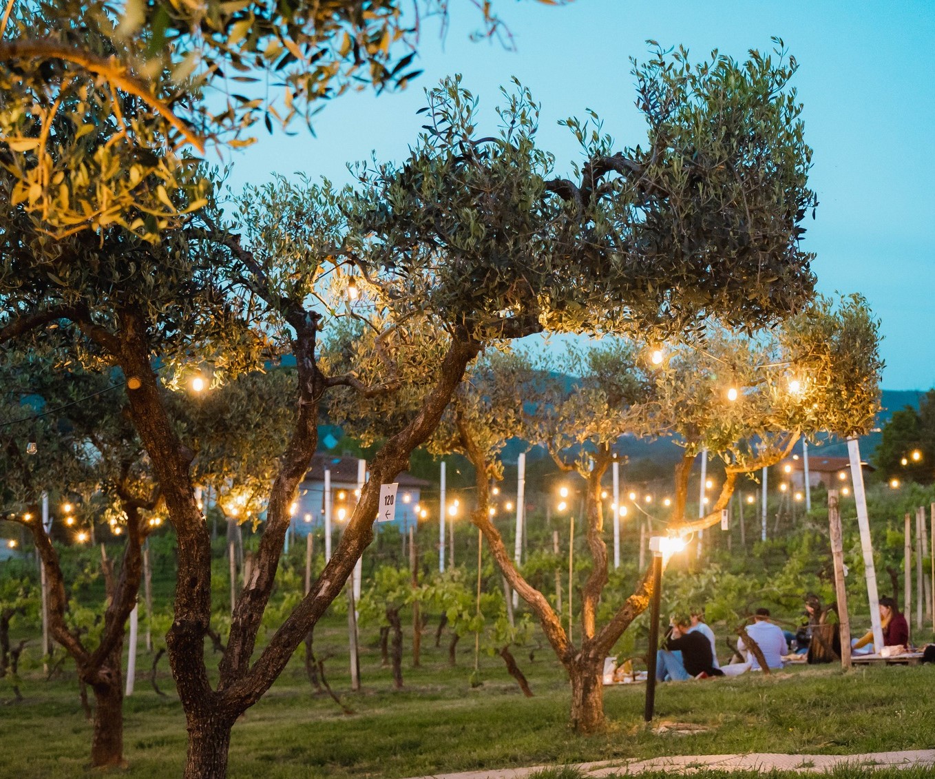 Gems of Tuscany & Cinque Terre | Premium Independent Tour including small-group excursions | 8days/7nights - Photo 13
