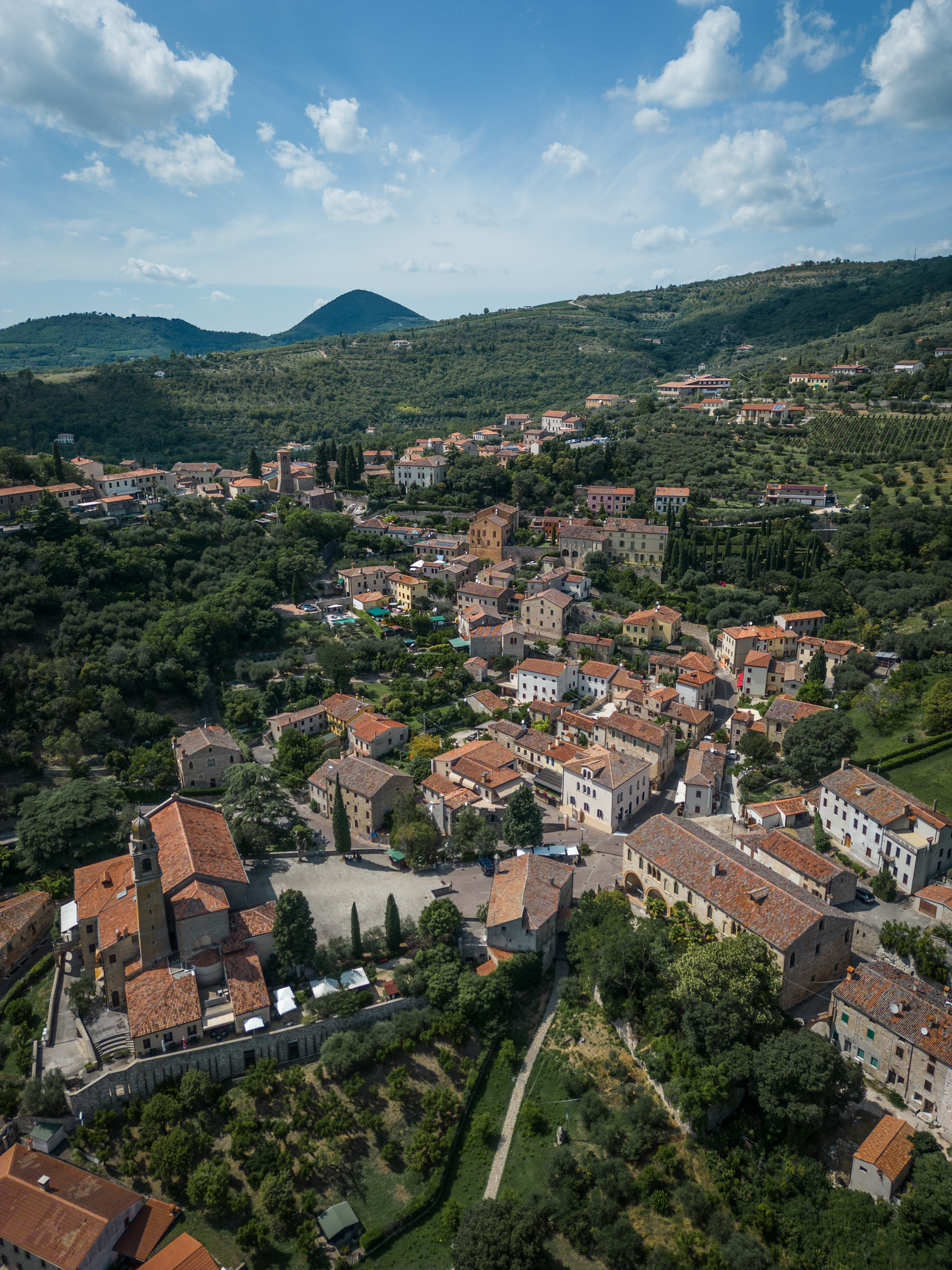 From Padua: Tour to Arquà Petrarca medieval village  - Photo 3