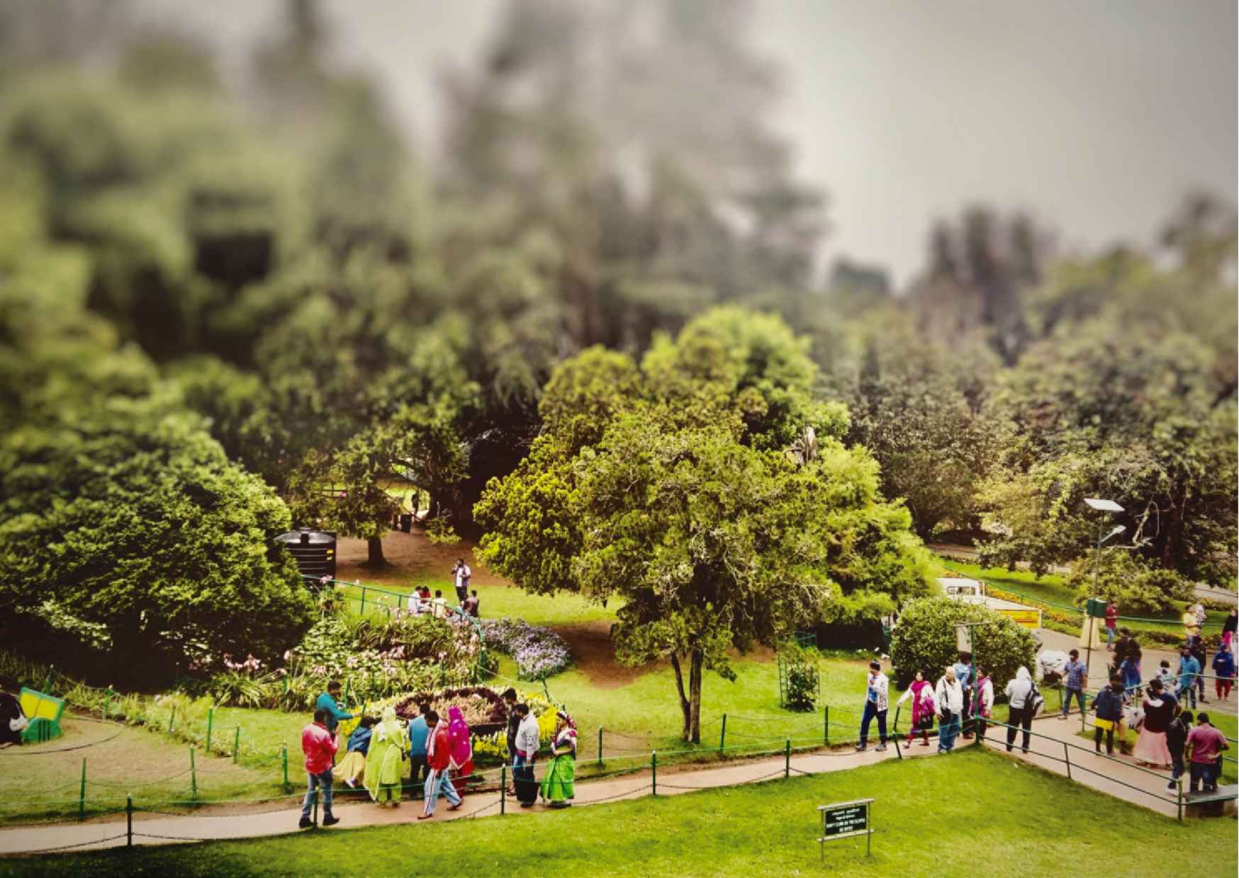 Muesum & Garden Tour of Ooty (4 Hours Guided Walking Tour) - Photo 7